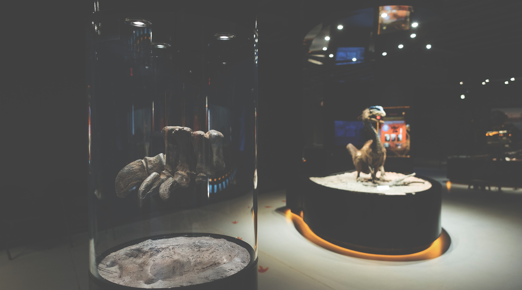 dinosaur interactive museum