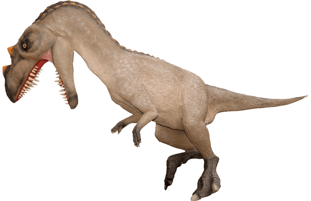 Ceratosaurus was a carnivorous theropod dinosaur in the Late