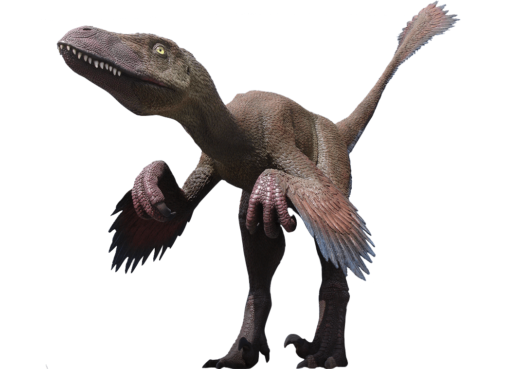 Deinonychus Antirrhopus – Moab Giants