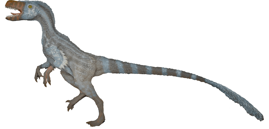 dinosaurs velociraptor