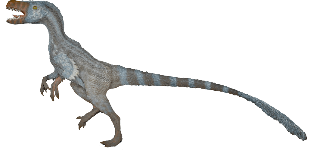 velociraptor dinosaur feet