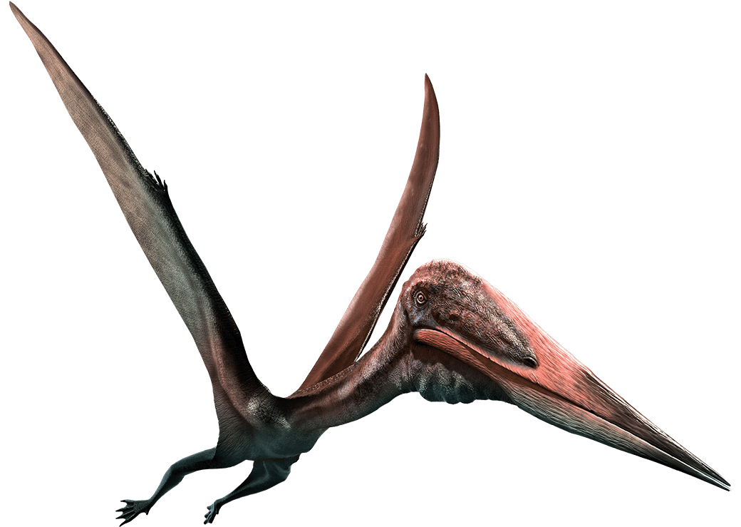 In Stock Vitae Zhejiangopterus Dinosaur Model 1/35 16cm Static Statue  Pterodactyloidea Azhdarchidae Pterosaur